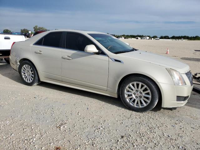 1G6DE5EY5B0147094 - 2011 CADILLAC CTS LUXURY COLLECTION CREAM photo 4