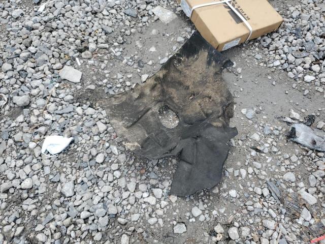 WAUGFAFCXGN162331 - 2016 AUDI A6 PREMIUM PLUS 白色 照片 12