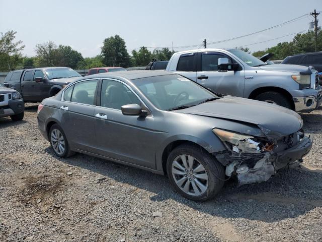 1HGCP3F81BA005536 - 2011 HONDA ACCORD EXL Մոխրագույն լուսանկար 4