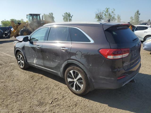 5XYPHDA54JG352583 - 2018 KIA SORENTO EX Braun Foto 2
