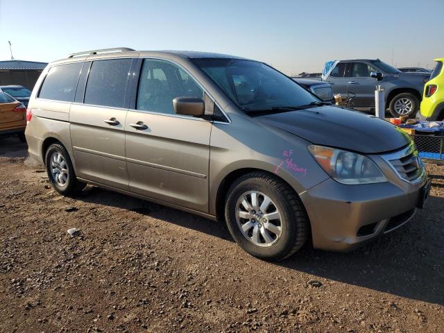 5FNRL386X8B417826 - 2008 HONDA ODYSSEY EXL თაფლისფერი ფოტო 4