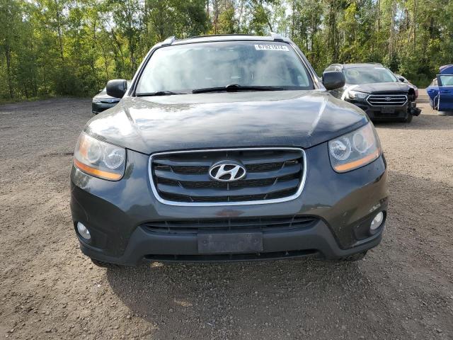 5NMSK3AB8AH392893 - 2010 HYUNDAI SANTA FE LIMITED CHARCOAL photo 5