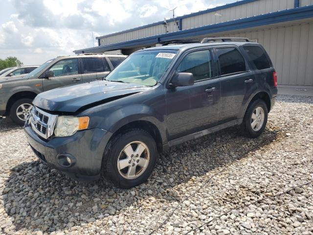 2009 FORD ESCAPE XLT, 