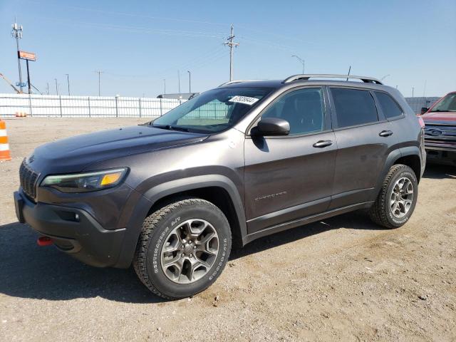 1C4PJMBX1LD572186 - 2020 JEEP CHEROKEE TRAILHAWK GRAY photo 1