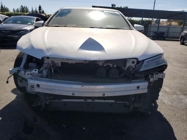 19UUB2F5XFA023381 - 2015 ACURA TLX TECH WHITE photo 5