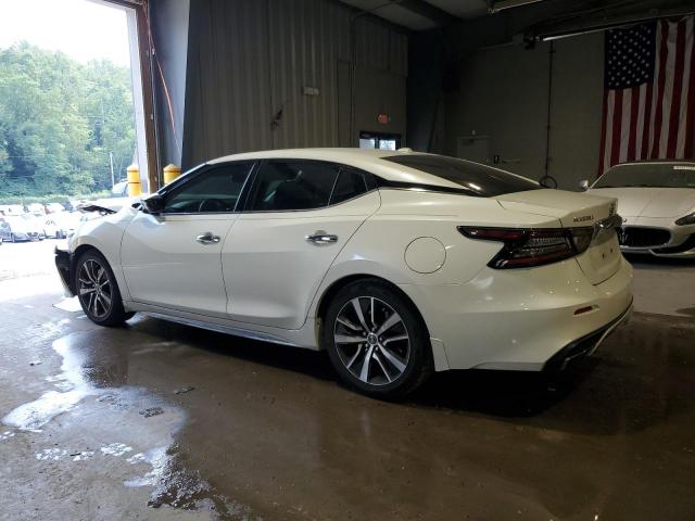 1N4AA6AV7KC366575 - 2019 NISSAN MAXIMA S WHITE photo 2