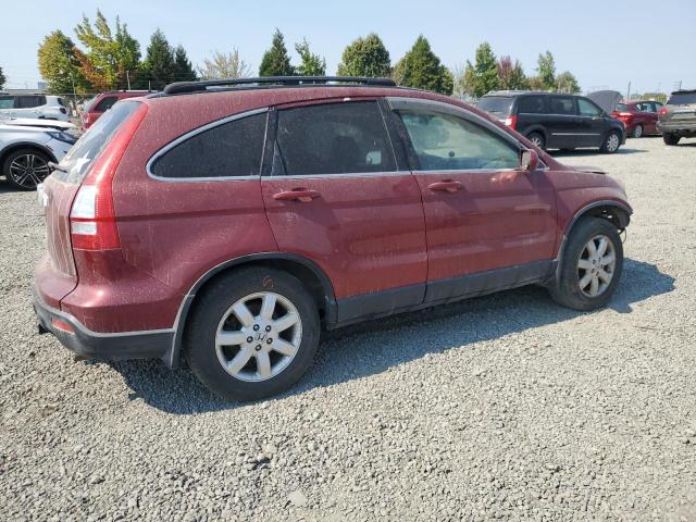 JHLRE48788C036145 - 2008 HONDA CR-V EXL BURGUNDY photo 3