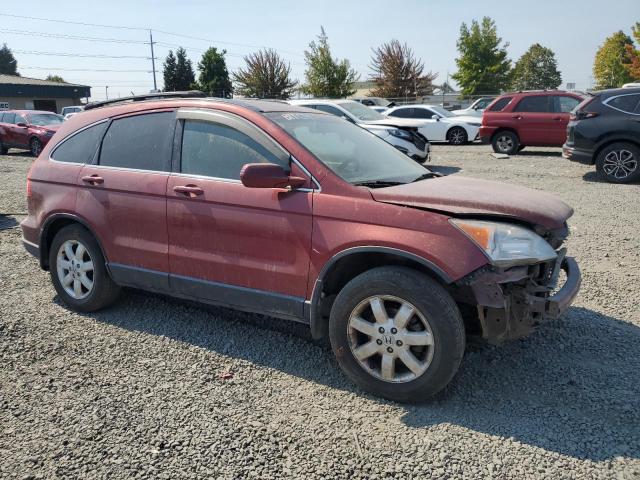 JHLRE48788C036145 - 2008 HONDA CR-V EXL BURGUNDY photo 4