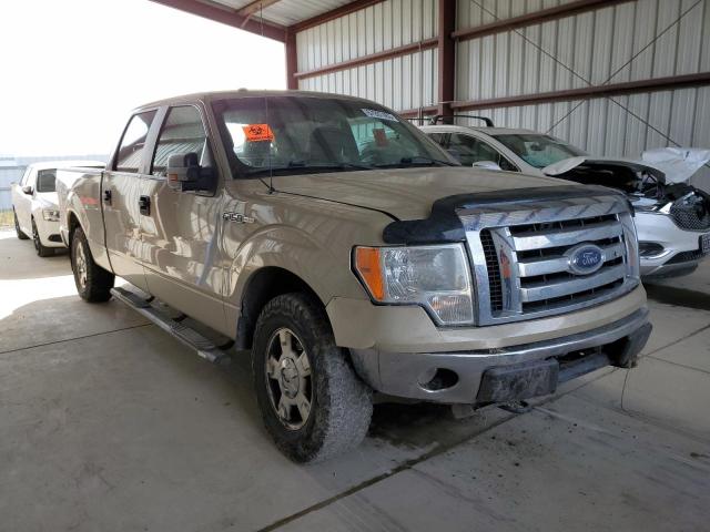 1FTFW1EV6AKA76086 - 2010 FORD F150 SUPERCREW CREAM photo 4