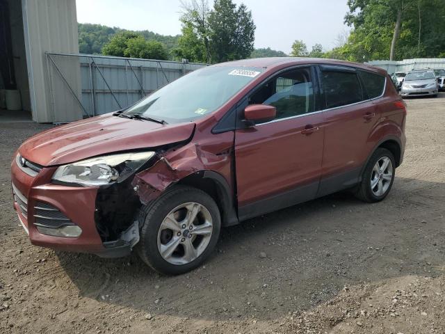 2014 FORD ESCAPE SE, 