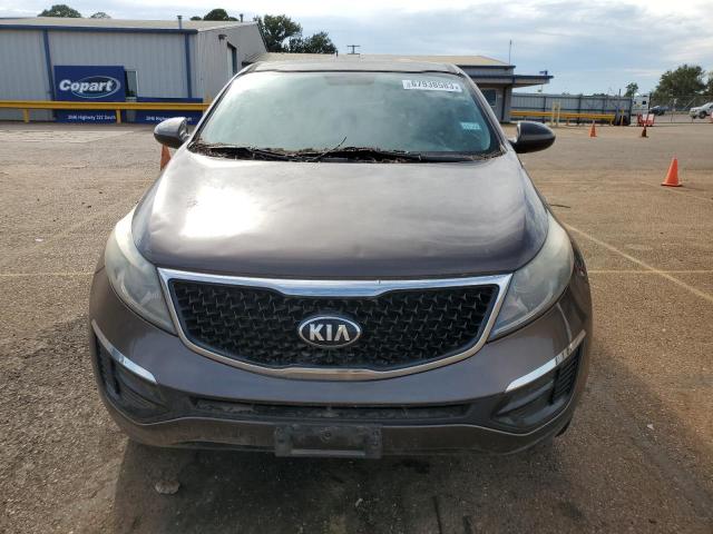 KNDPB3ACXE7598020 - 2014 KIA SPORTAGE BASE BROWN photo 5