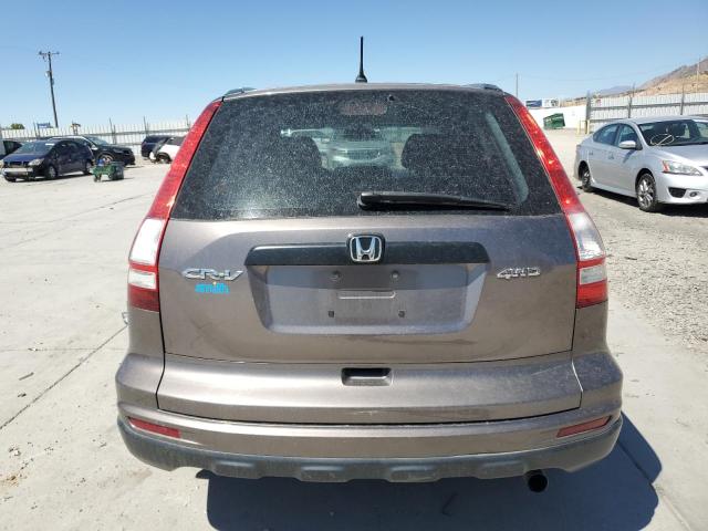 5J6RE4H31AL092602 - 2010 HONDA CR-V LX GRAY photo 6