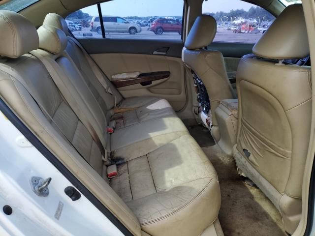 1HGCP36888A022617 - 2008 HONDA ACCORD EXL WHITE photo 10