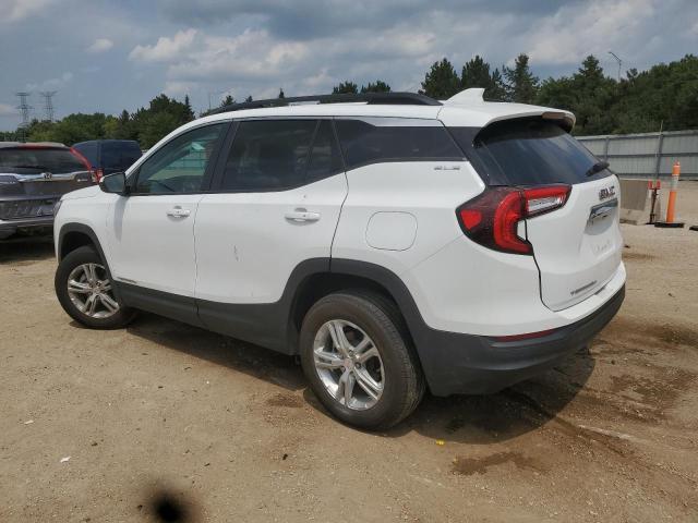 3GKALMEG7PL271776 - 2023 GMC TERRAIN SLE 白色 照片 2
