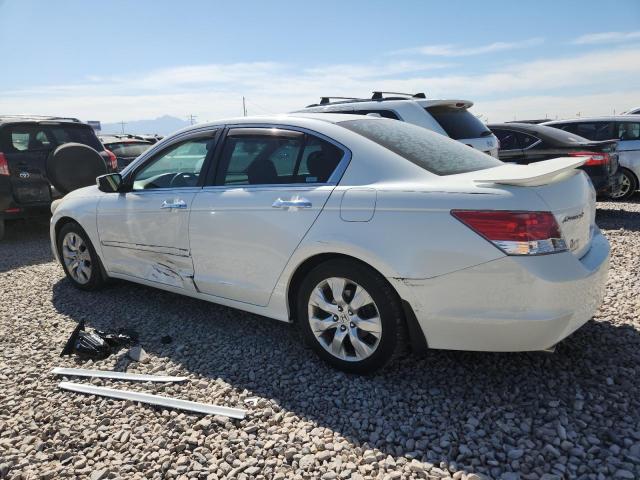 1HGCP36838A077606 - 2008 HONDA ACCORD EXL WHITE photo 2