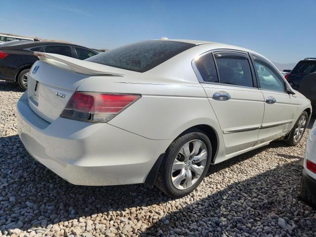 1HGCP36838A077606 - 2008 HONDA ACCORD EXL WHITE photo 3