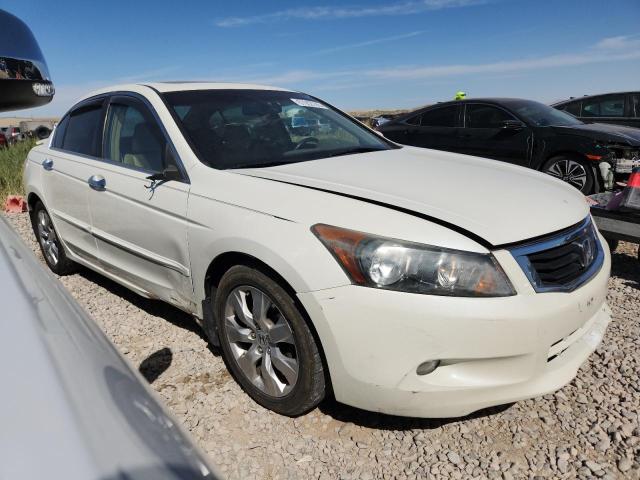 1HGCP36838A077606 - 2008 HONDA ACCORD EXL WHITE photo 4