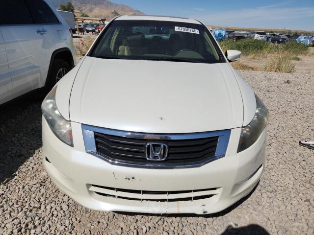 1HGCP36838A077606 - 2008 HONDA ACCORD EXL WHITE photo 5
