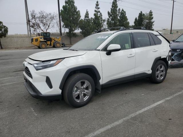 2024 TOYOTA RAV4 LE, 