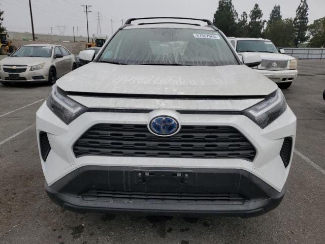 JTMMWRFV4RD265324 - 2024 TOYOTA RAV4 LE თეთრი ფოტო 5