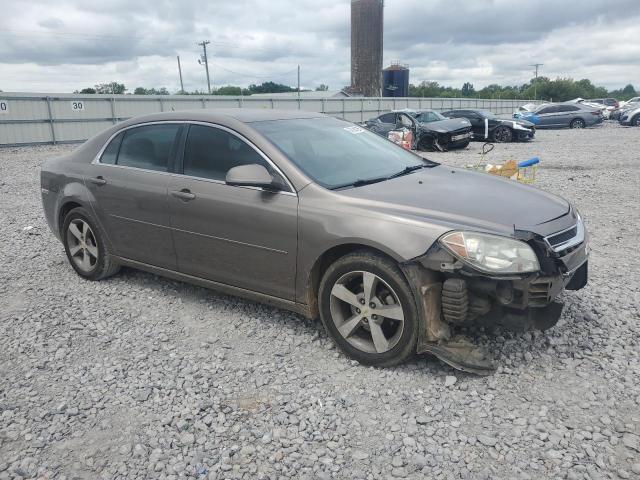 1G1ZC5E14BF197051 - 2011 CHEVROLET MALIBU 1LT Marron photo 4