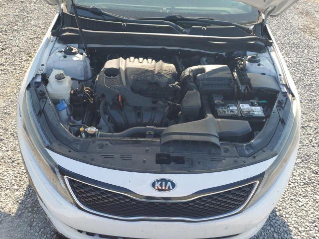 5XXGN4A71FG438892 - 2015 KIA OPTIMA EX WHITE photo 11