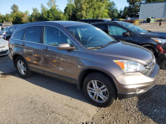 5J6RE4H75BL031614 - 2011 HONDA CR-V EXL GRAY photo 4