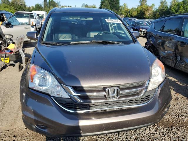 5J6RE4H75BL031614 - 2011 HONDA CR-V EXL GRAY photo 5
