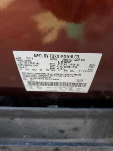 1FM5K8D84GGB14983 - 2016 FORD EXPLORER XLT Braun Foto 12