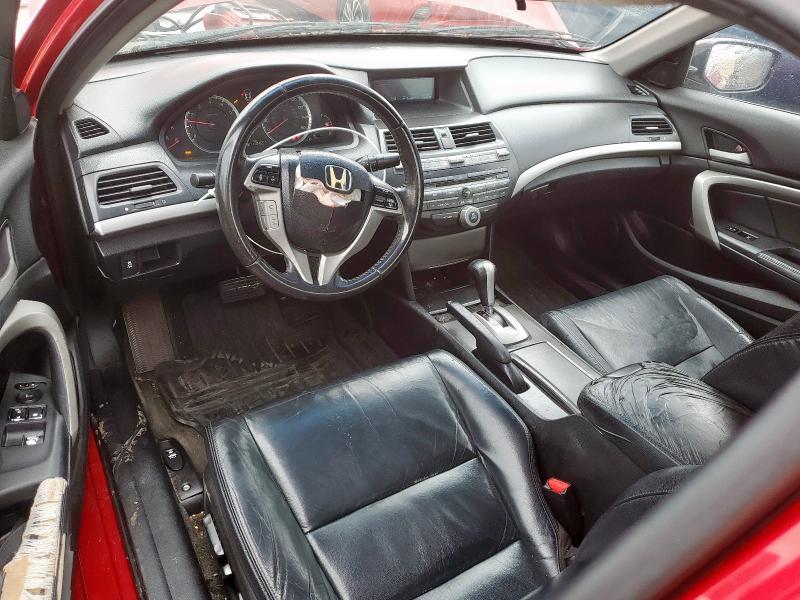 1HGCS1B86CA005204 - 2012 HONDA ACCORD EXL RED photo 8