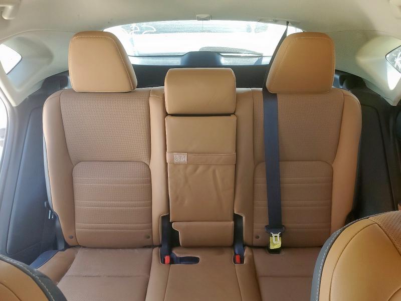 JTJYARBZ5K2156555 - 2019 LEXUS NX 300 BASE Մոխրագույն լուսանկար 10