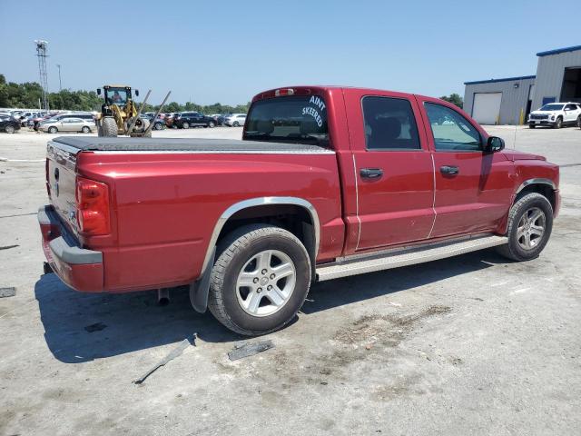 1D7HE38K89S782681 - 2009 DODGE DAKOTA SXT RED photo 3