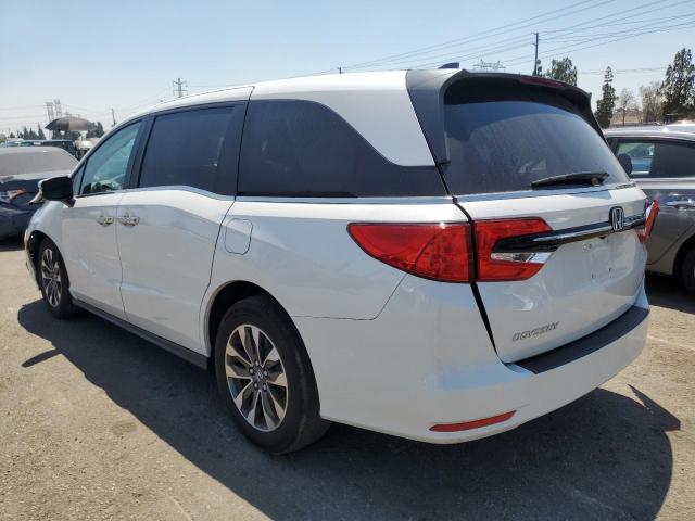 5FNRL6H66RB052595 - 2024 HONDA ODYSSEY EXL თეთრი ფოტო 2