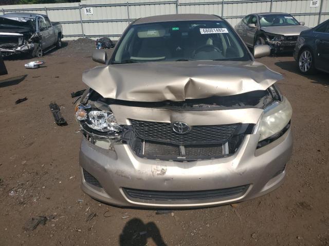 1NXBU4EE9AZ241389 - 2010 TOYOTA COROLLA BASE Brązowy zdjęcie 5