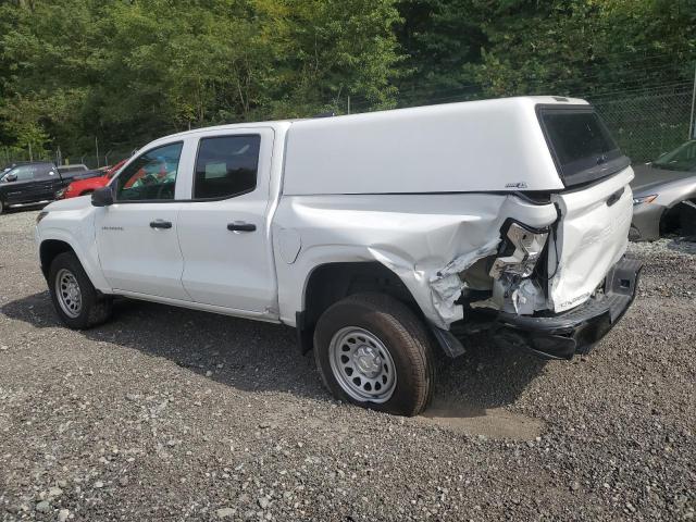 1GCGSBEC3R1282908 - 2024 CHEVROLET COLORADO 白色 照片 2