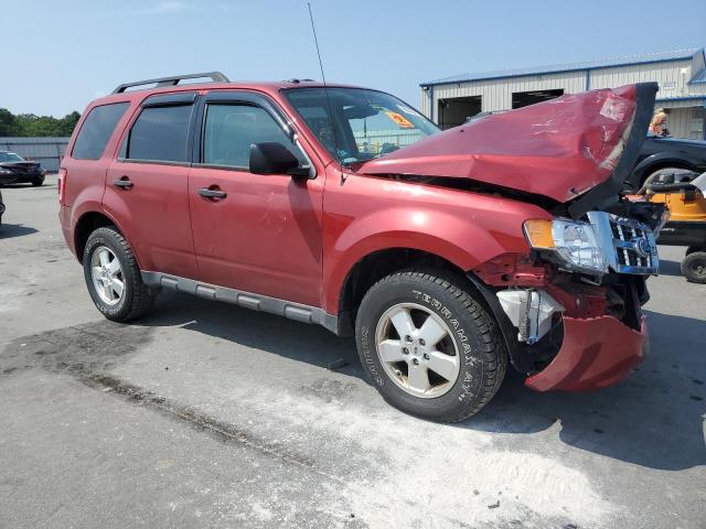 1FMCU9DG1CKB98394 - 2012 FORD ESCAPE XLT RED photo 4