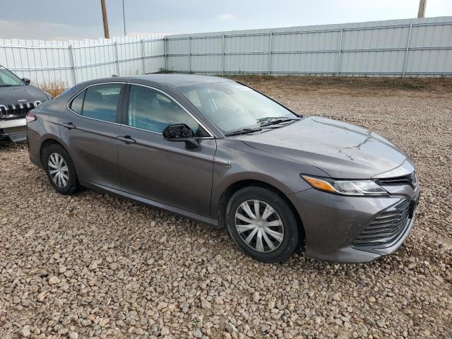 4T1B31HK0KU006836 - 2019 TOYOTA CAMRY LE Boz foto 4