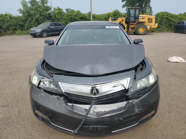19UUA8F23DA800556 - 2013 ACURA TL Boz foto 5