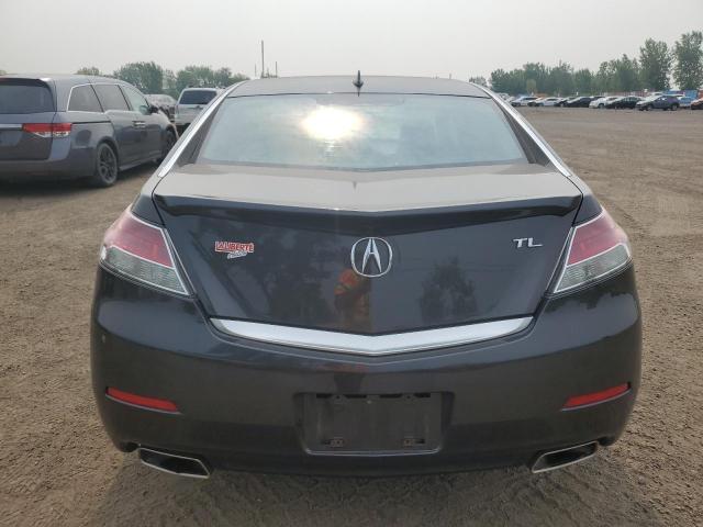 19UUA8F23DA800556 - 2013 ACURA TL Boz foto 6