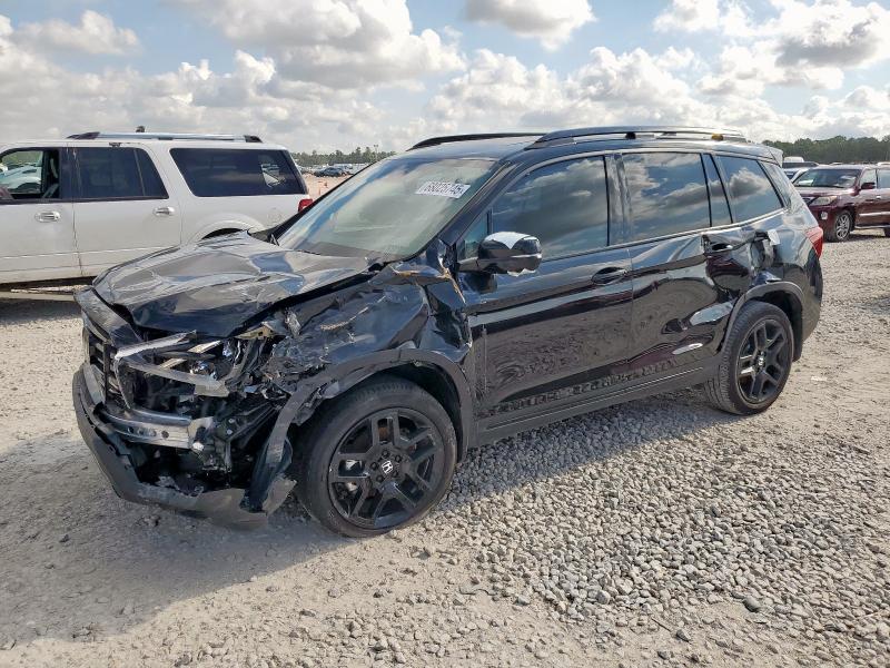 2024 HONDA PASSPORT BLACK EDITION, null