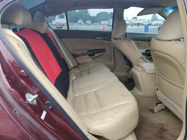 1HGCP26869A030131 - 2009 HONDA ACCORD EXL BURGUNDY photo 10