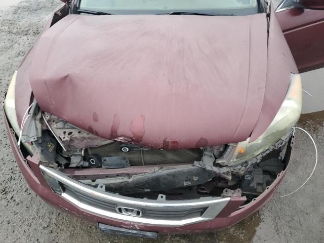 1HGCP26869A030131 - 2009 HONDA ACCORD EXL BURGUNDY photo 11