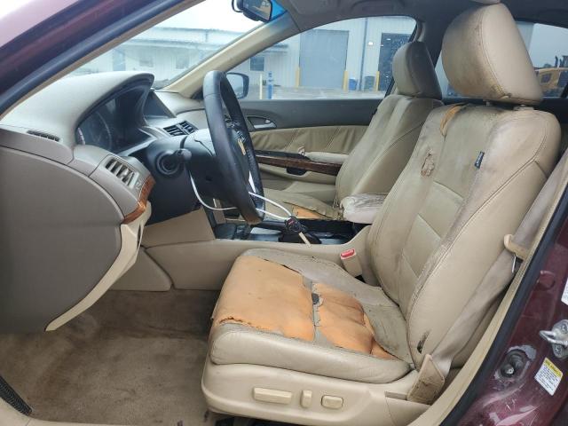 1HGCP26869A030131 - 2009 HONDA ACCORD EXL BURGUNDY photo 7