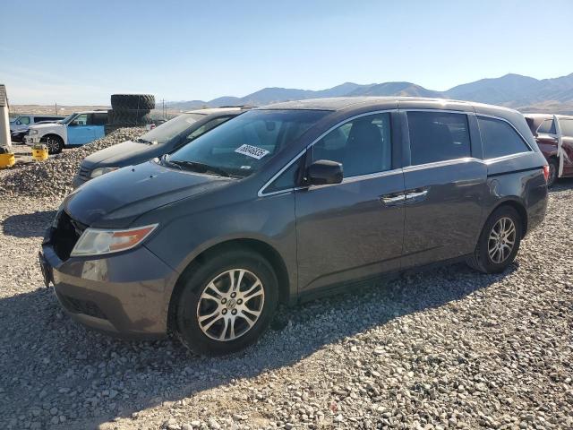 2012 HONDA ODYSSEY EXL, null