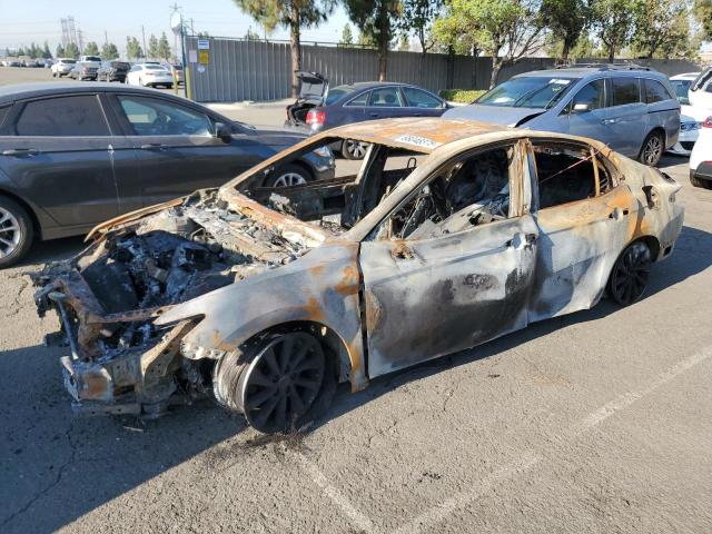 2023 TOYOTA CAMRY LE, 