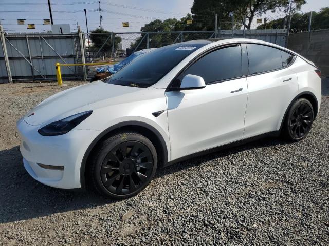 2023 TESLA MODEL Y, 