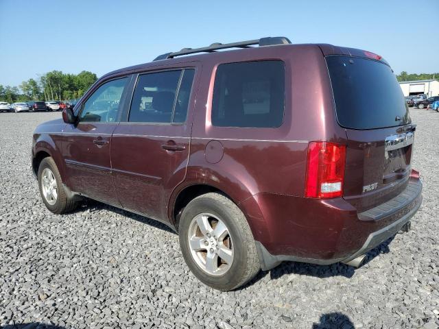 5FNYF48419B027545 - 2009 HONDA PILOT EX BURGUNDY photo 2