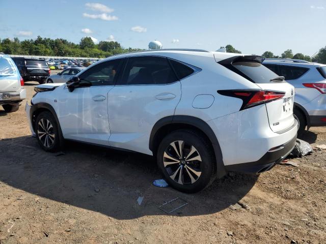 JTJBARBZ8K2184291 - 2019 LEXUS NX 300 BASE Ağ foto 2
