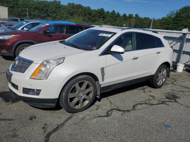 3GYFNEEY2BS548904 - 2011 CADILLAC SRX PERFORMANCE COLLECTION WHITE photo 1