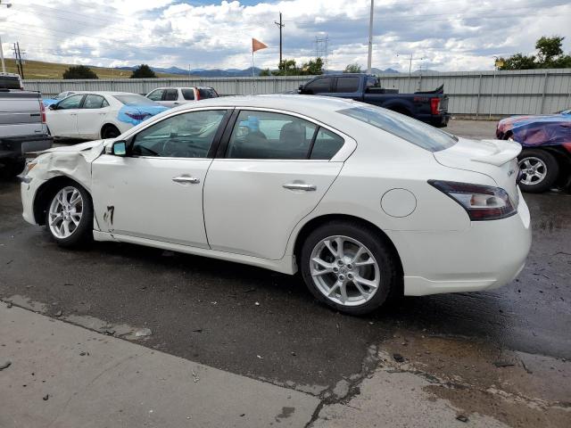 1N4AA5AP8DC815356 - 2013 NISSAN MAXIMA S WHITE photo 2